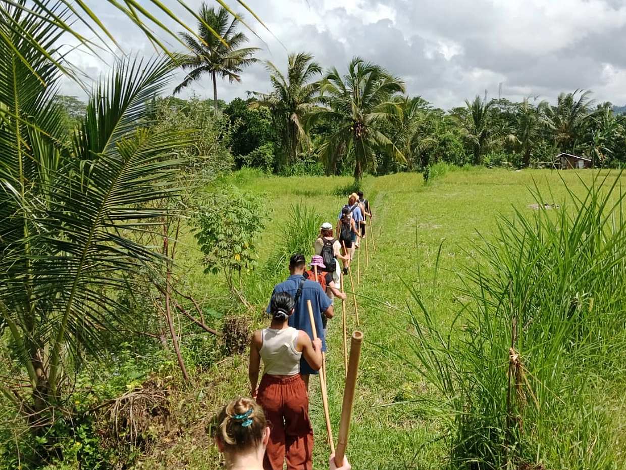Bali Undisan Village, Posvátný les a trekking k vodopádům v Indonésii
, photo 5
