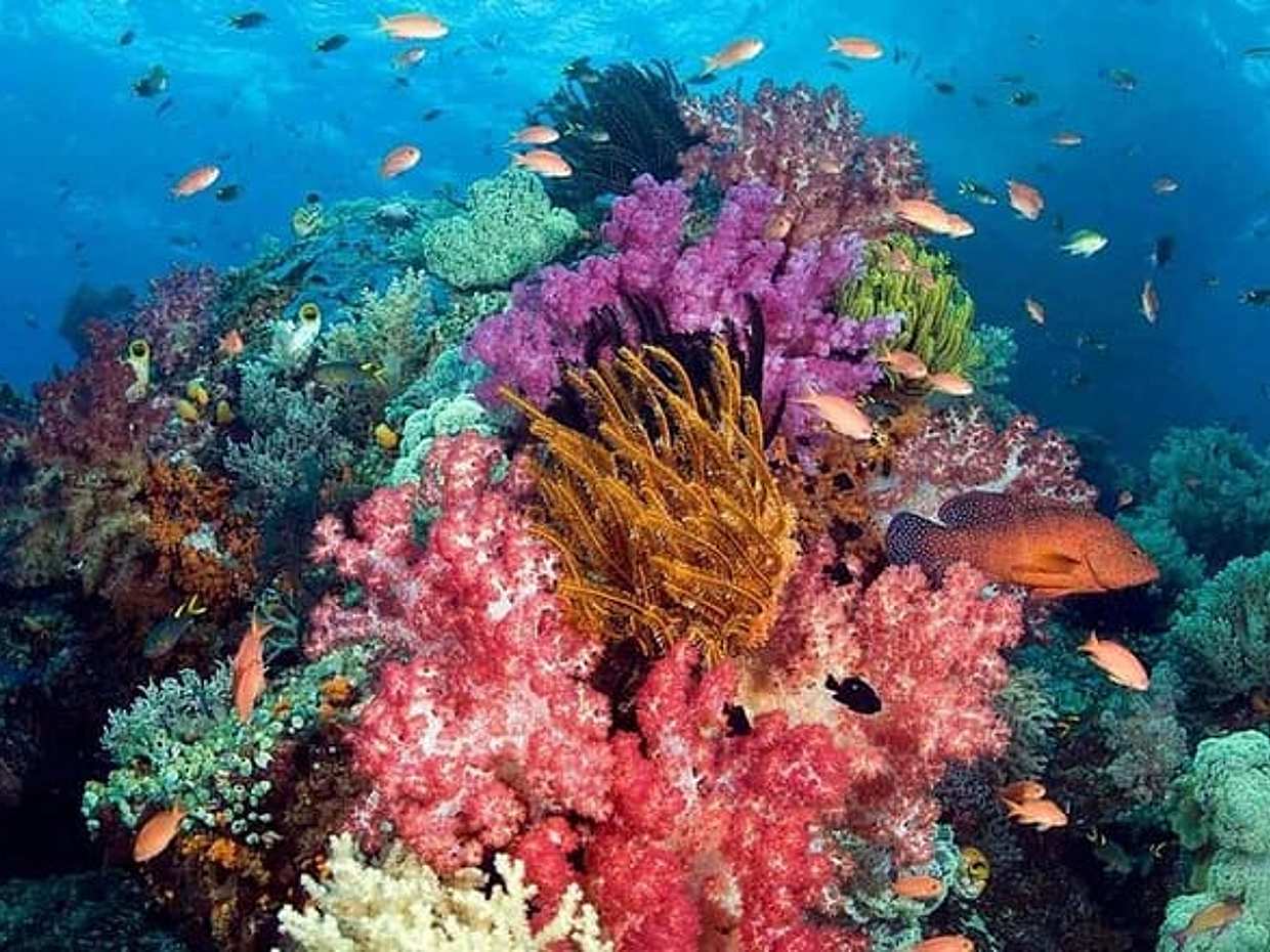 1-daagse Phu Quoc boottocht naar drie eilanden in Vietnam, photo 5