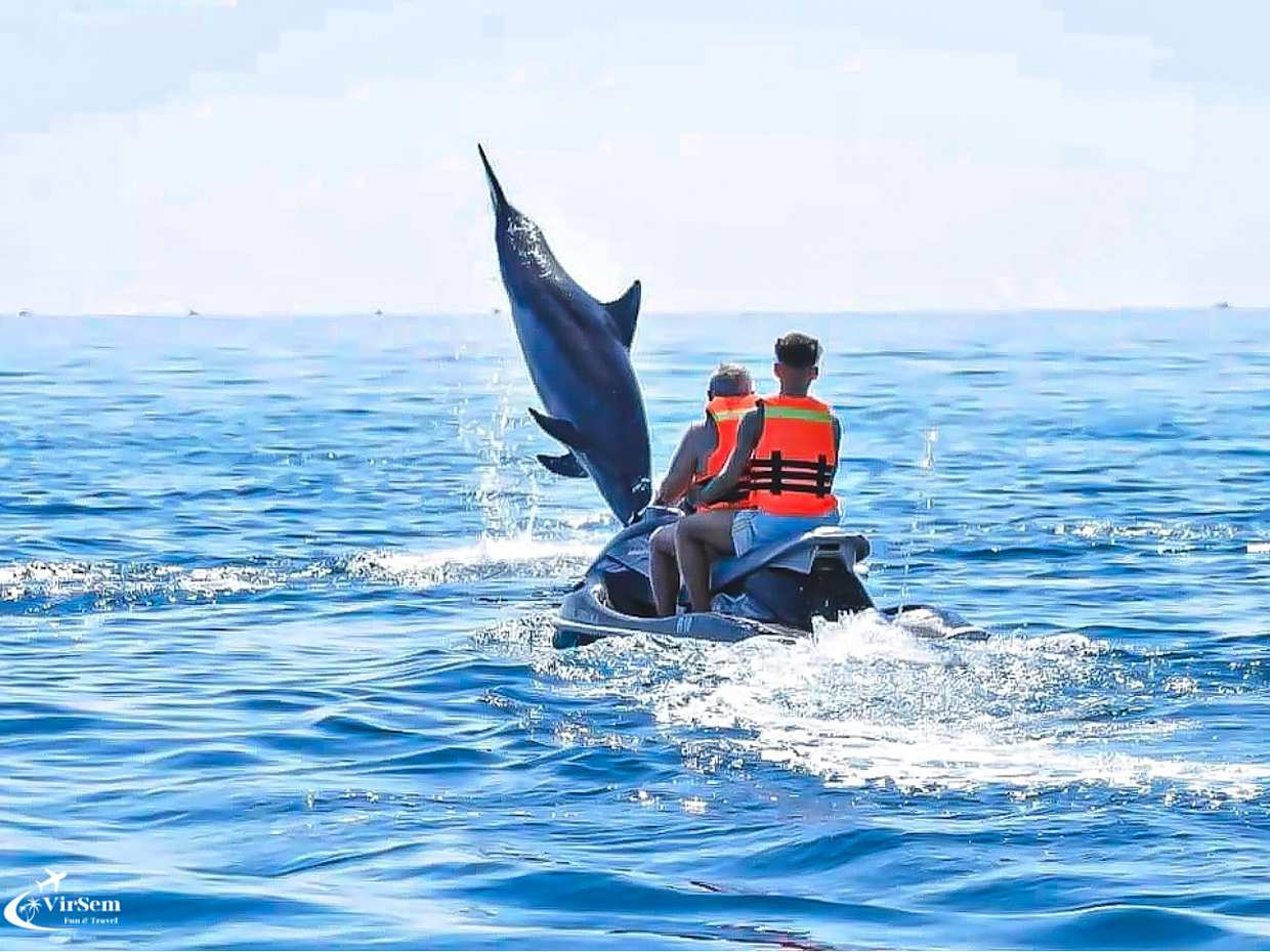 Dolphin Watching Boat Trip in Djerba – 2-Hour Sea Adventure in Tunisia, Djerba Midun, photo 2