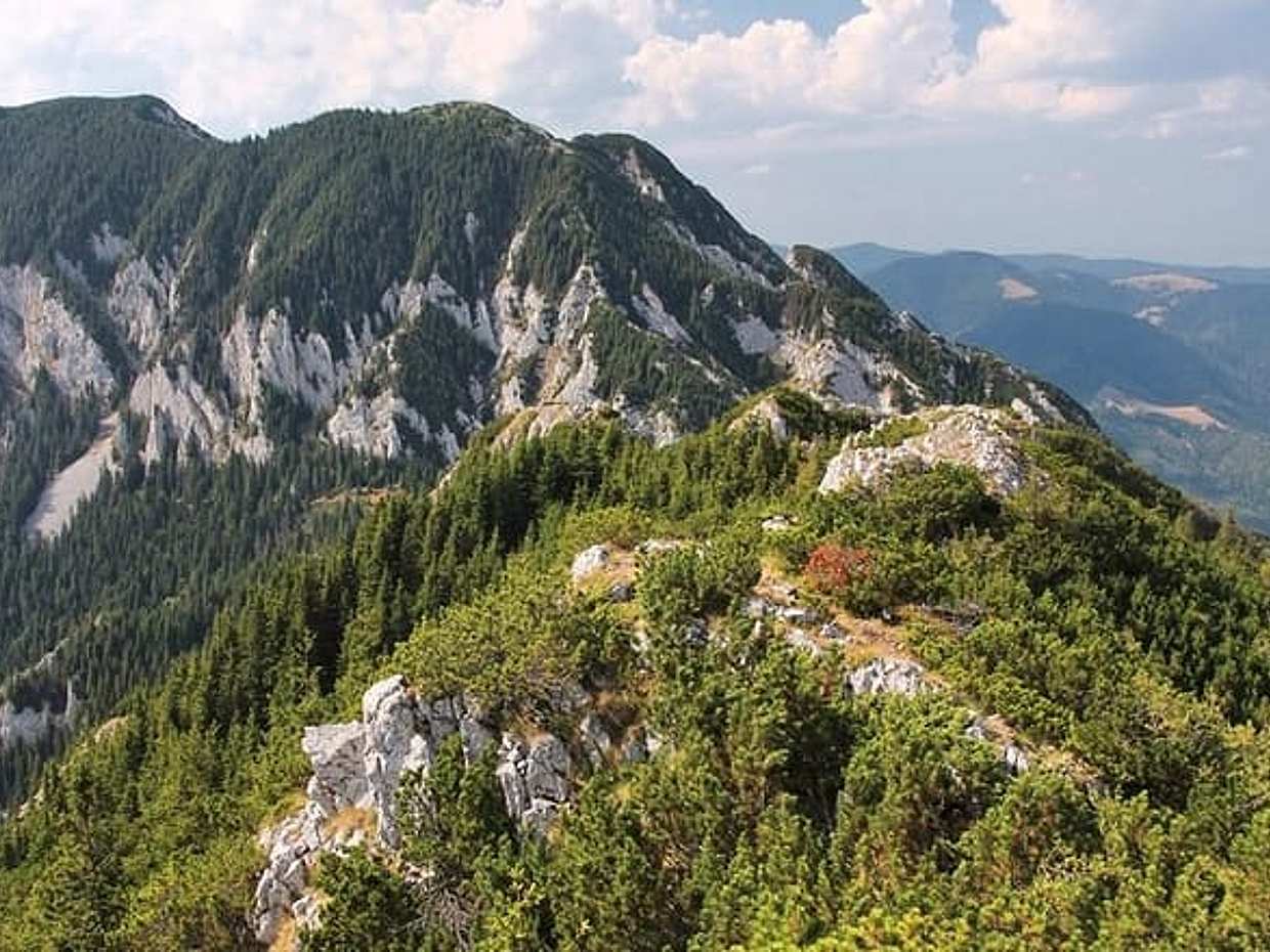"Piatra Craiului Nationalpark Private Wandertour ab Brasov in Rumänien, Brașov", photo 3