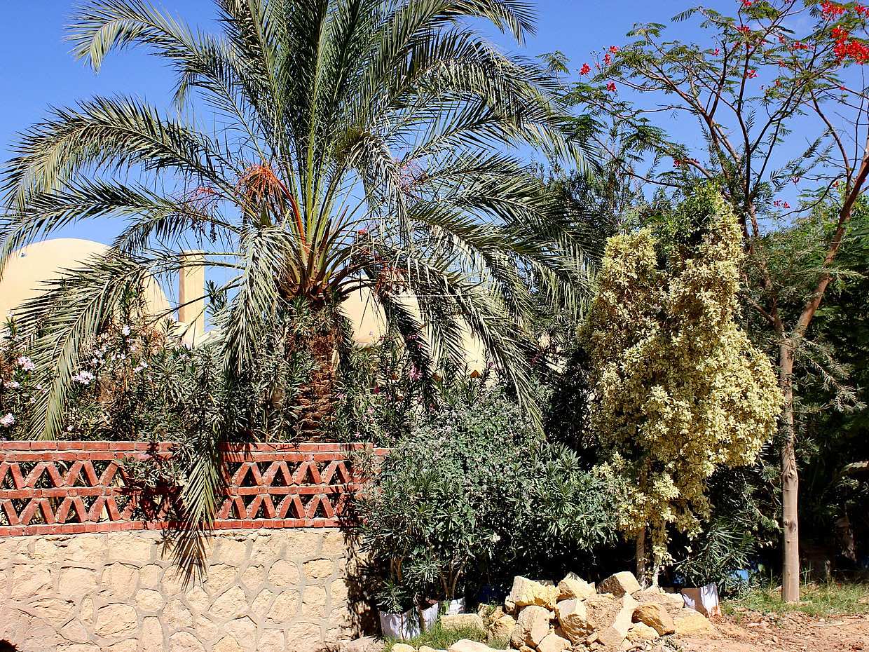 Die verborgenen Schätze der Fayoum-Oase - Private Tour in Ägypten, Kairo
, photo 2