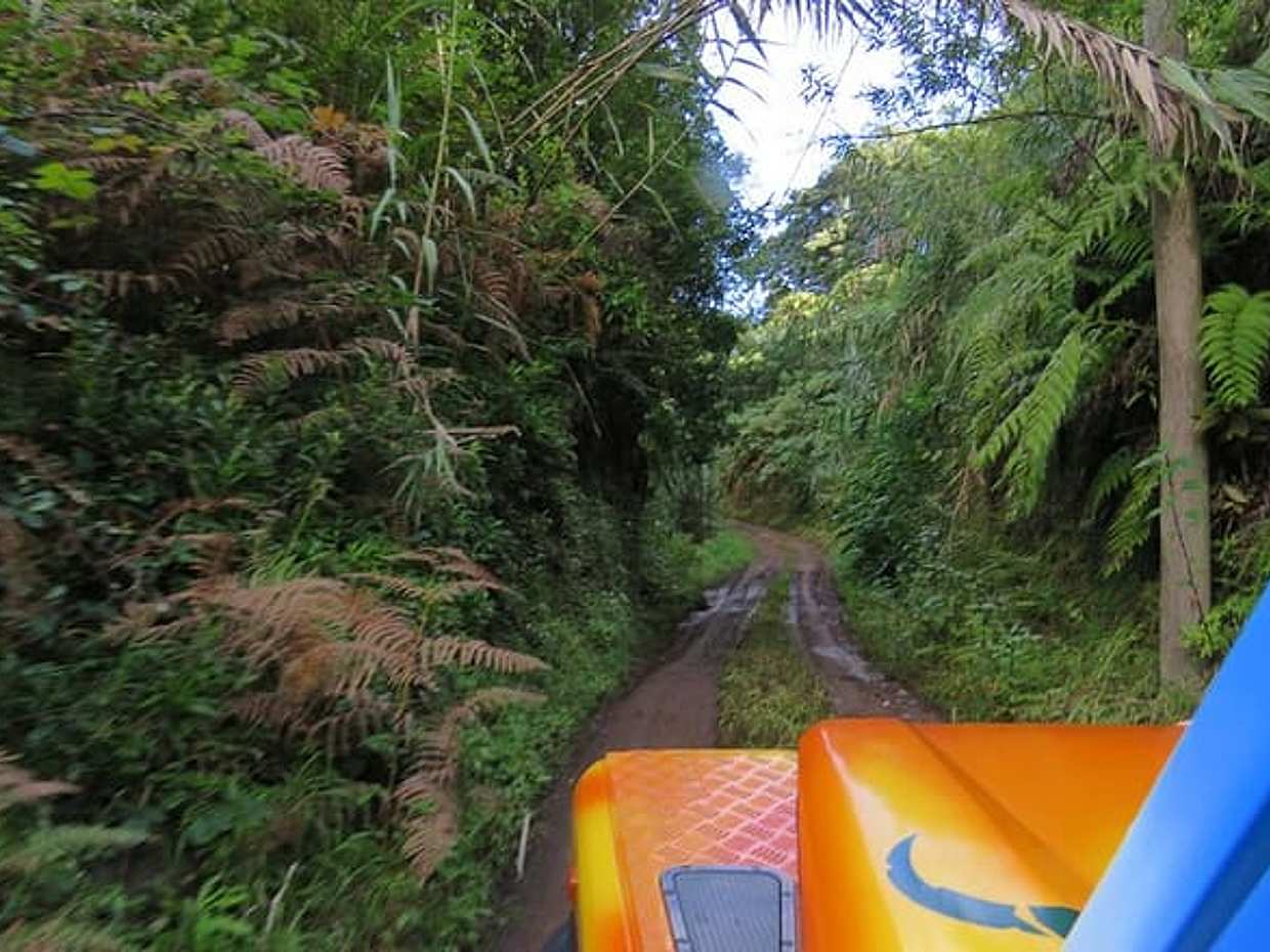 Vineyard Escapade and skywalk, a Wine Tour 4x4 Adventure, photo 4