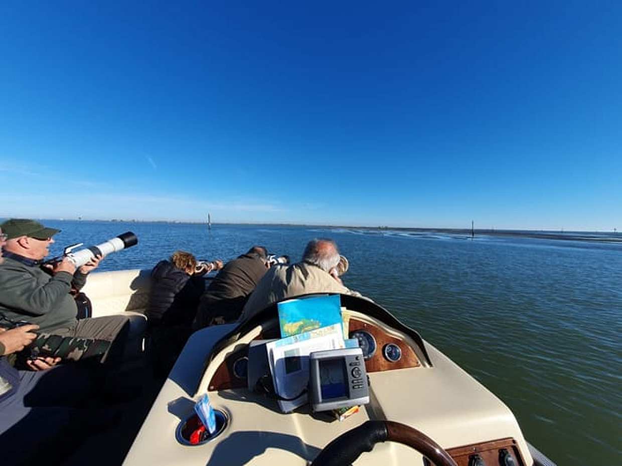 Po Delta Sunset Boat Tour: Explore Isola dell’Amore & Nature with aperitif, photo 4