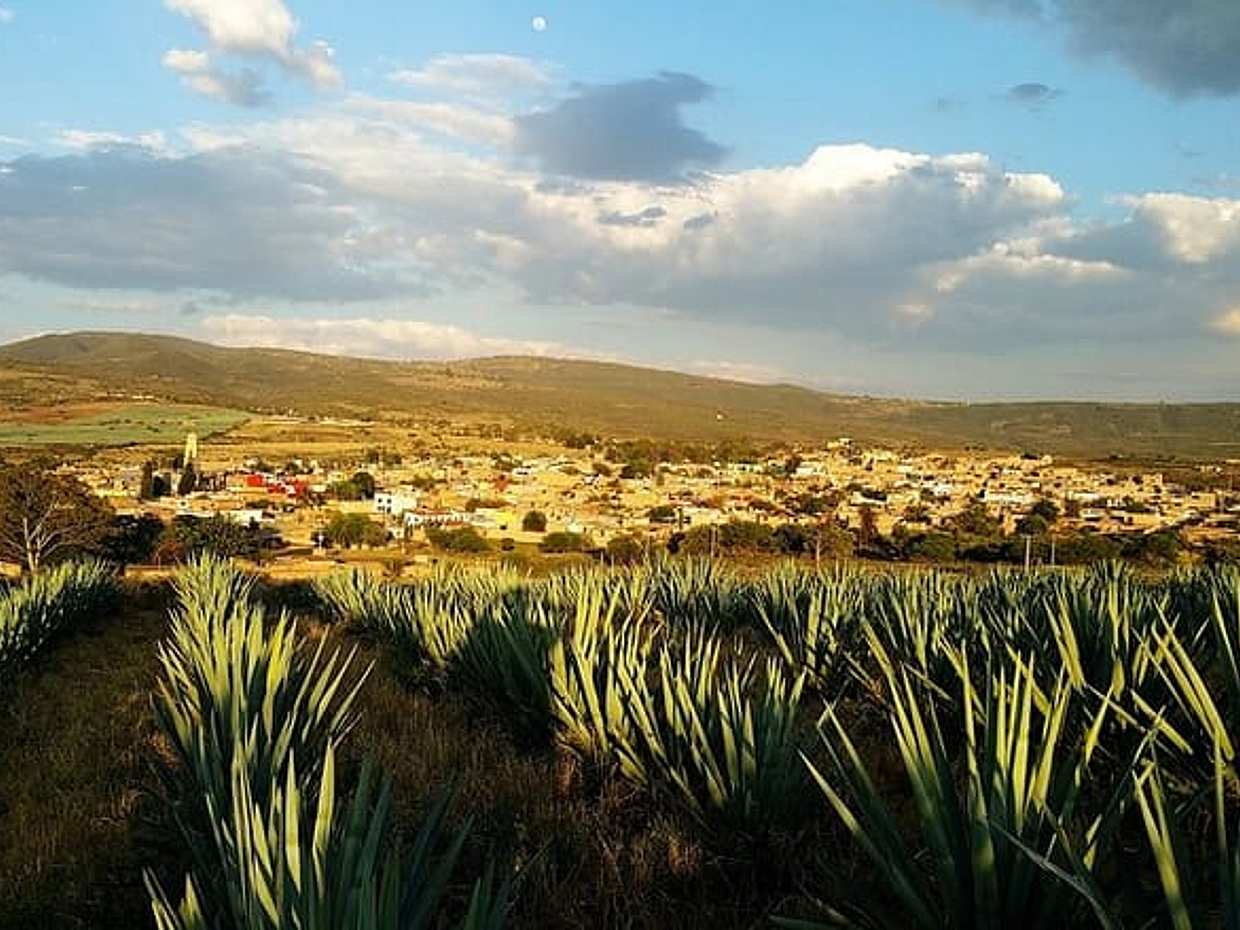 Private transfer San Miguel de Allende to Tequila with 2 hours for sightseeing