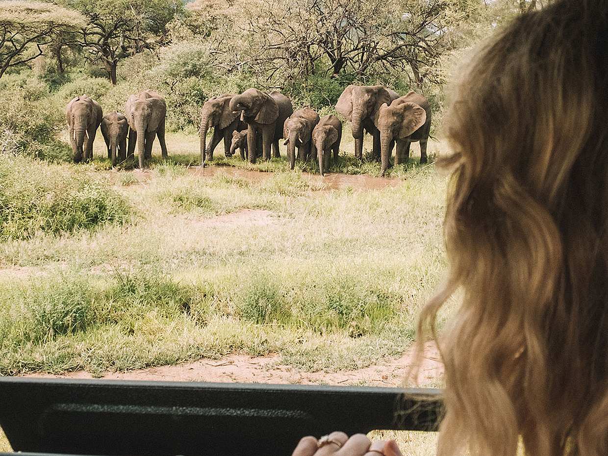 3-dniowe prywatne safari do Tarangire, nad jezioro Eyasi i do krateru Ngorongoro z Aruszy w Tanzanii.
, photo 2