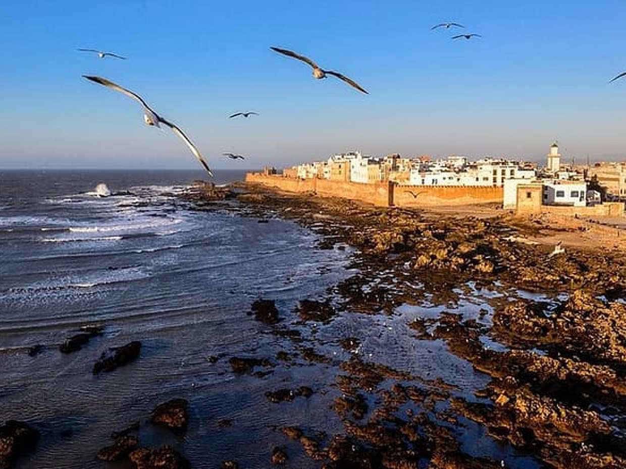 Private Essaouira Tour : UNESCO Coastal Heritage & Seaport, photo 2