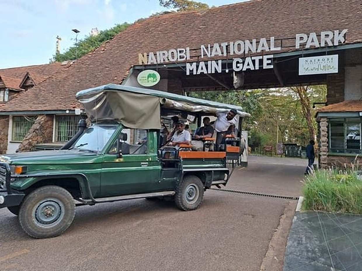 Nairobi Park Half-Day Open Game Viewer Landcruiser Safari in Kenya