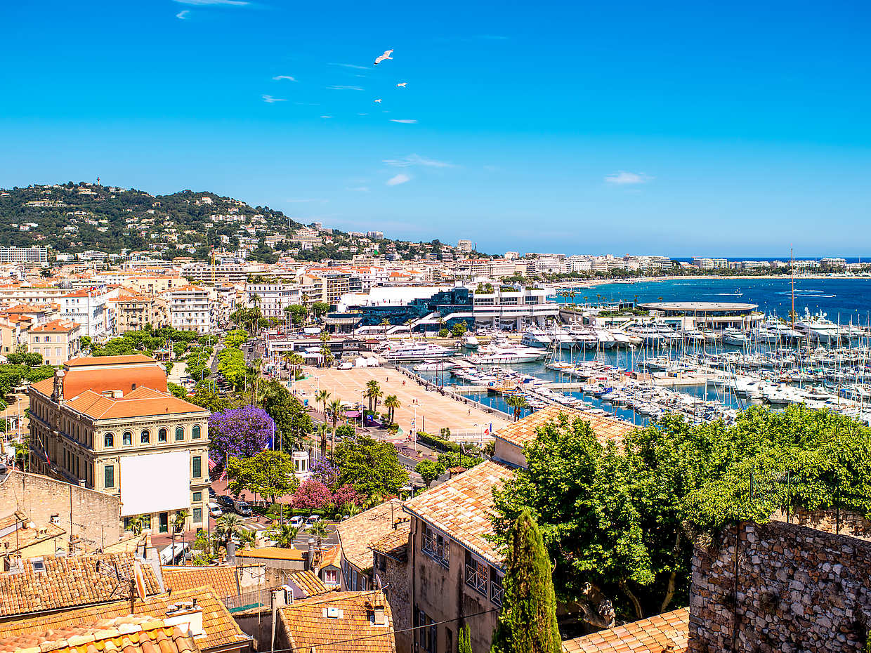 Cannes, Antibes et Saint Paul de Vence : visite privée d'une demi-journée en France, au départ de Nice.

