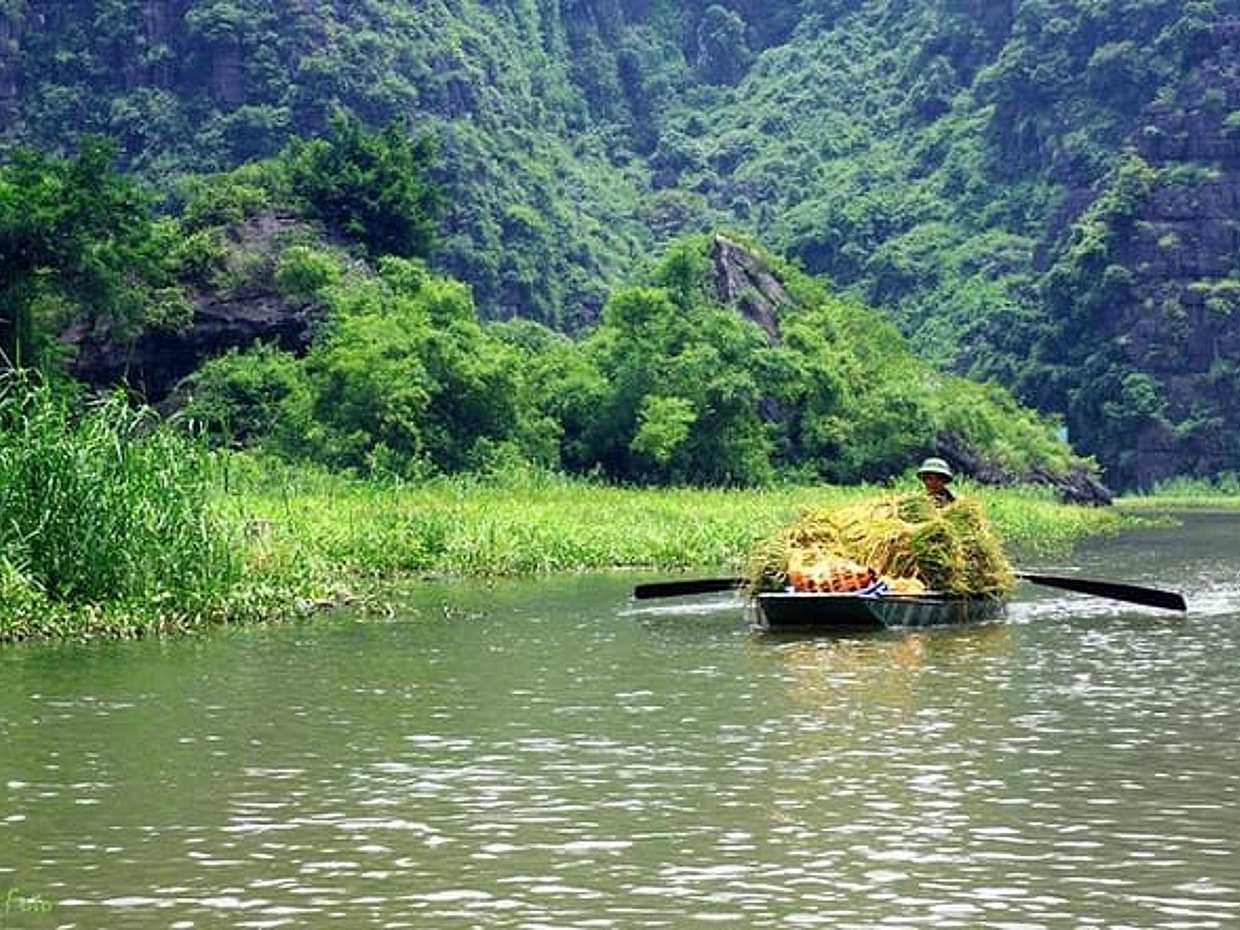 Small Group Ninh Binh Hoa Lu Tam Coc Full Day Tour from Hanoi, photo 3