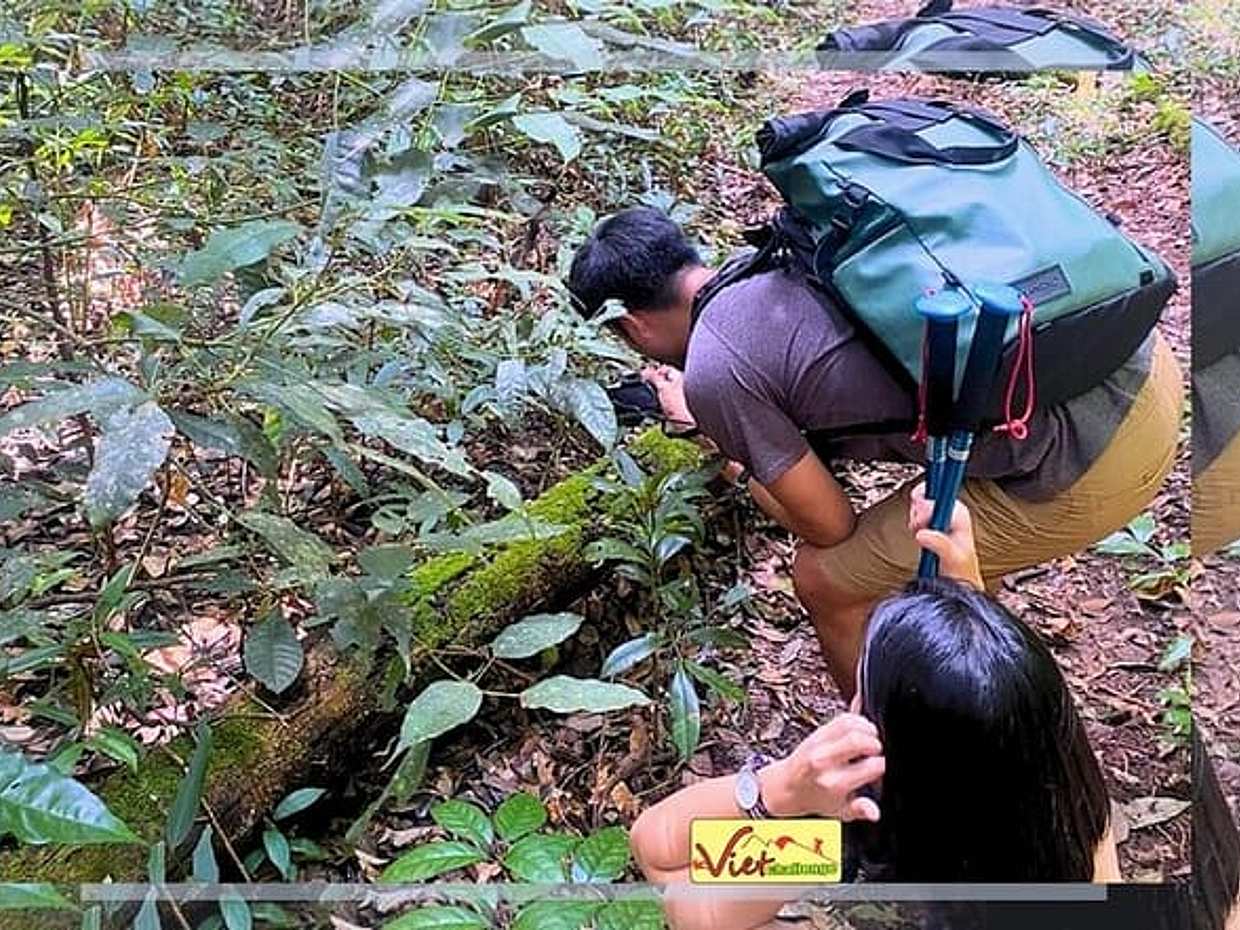 DALAT:徒步平哈特与图恩林湖皮划艇/桨板之旅,越南, photo 2