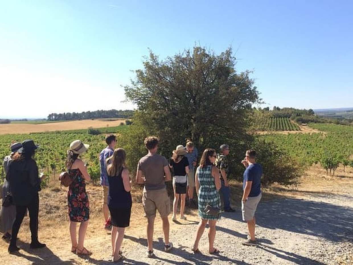 Day tour : Cité de Carcassonne and wine tasting. private tour from Carcassonne., photo 3