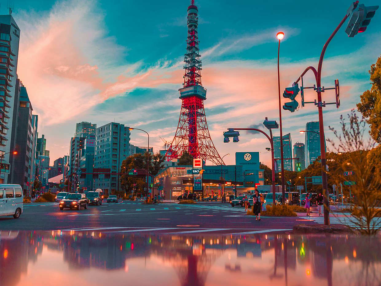 Tokyo privétour tijdens uw tussenstop met ophaal- en afzetservice op de luchthaven in Japan