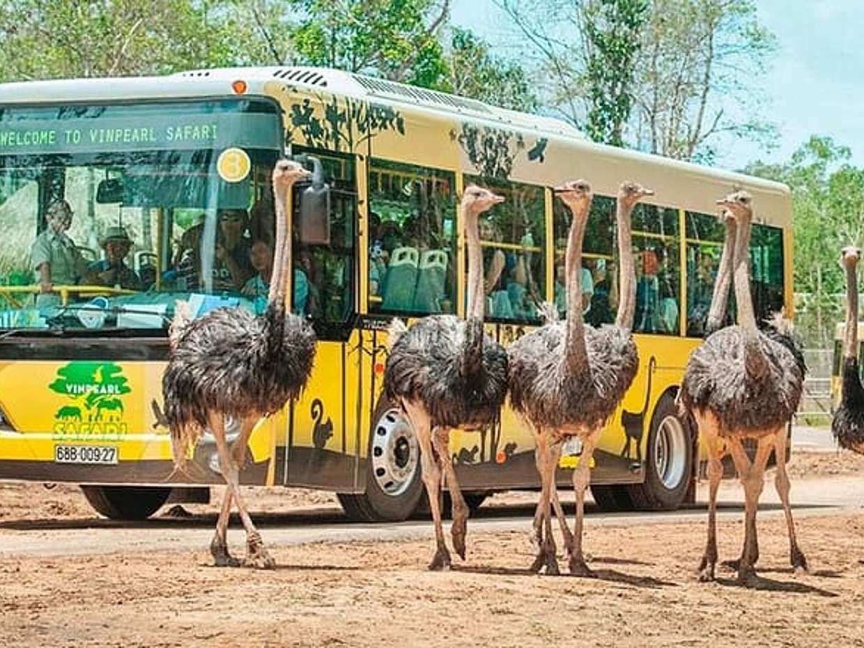 Phu Quoc: VinWonders & Safari Tickets with Private Transfer, photo 5