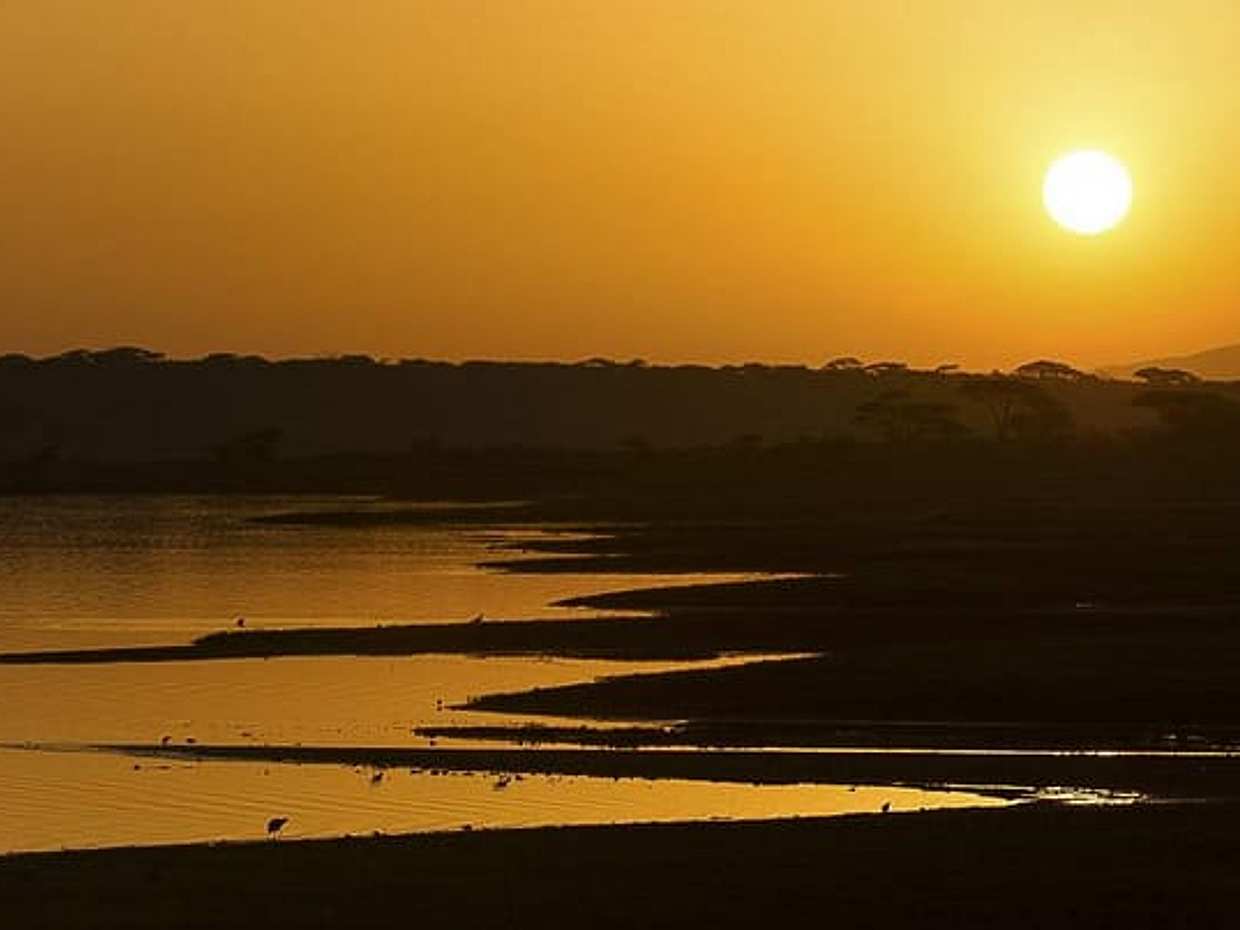 "Safari de 5 jours sur la Grande Migration : Serengeti central et saison des mises bas de Ndutu, Tanzanie"., photo 3