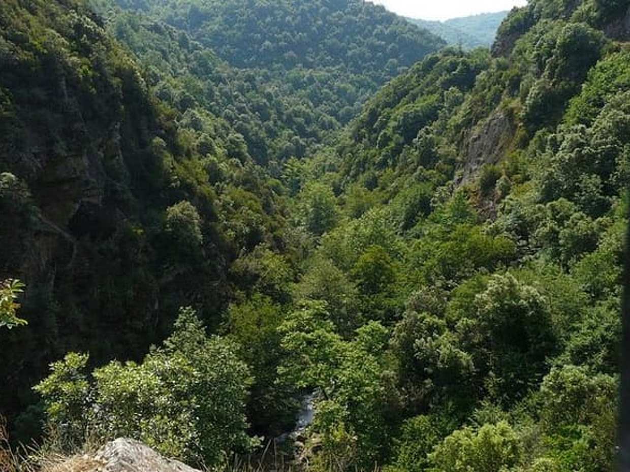 Η Γη του Αριστοτέλη & Κρουαζιέρα στο Άγιο Όρος στην Ελλάδα, Θεσσαλονίκη, photo 3