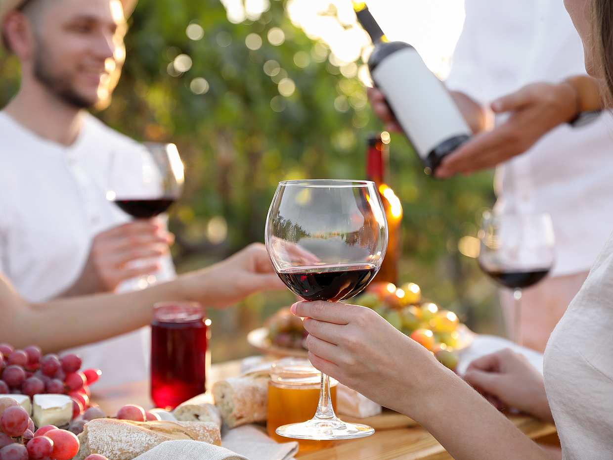 Brunello di Montalcino Wine Tour from San Gimignano in Italy