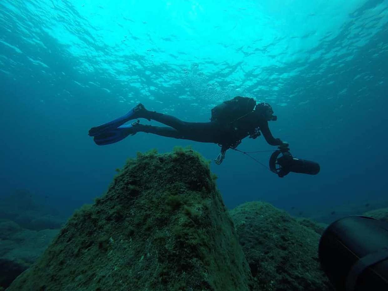 Azores: Diving in Faial Island in Portugal, photo 3