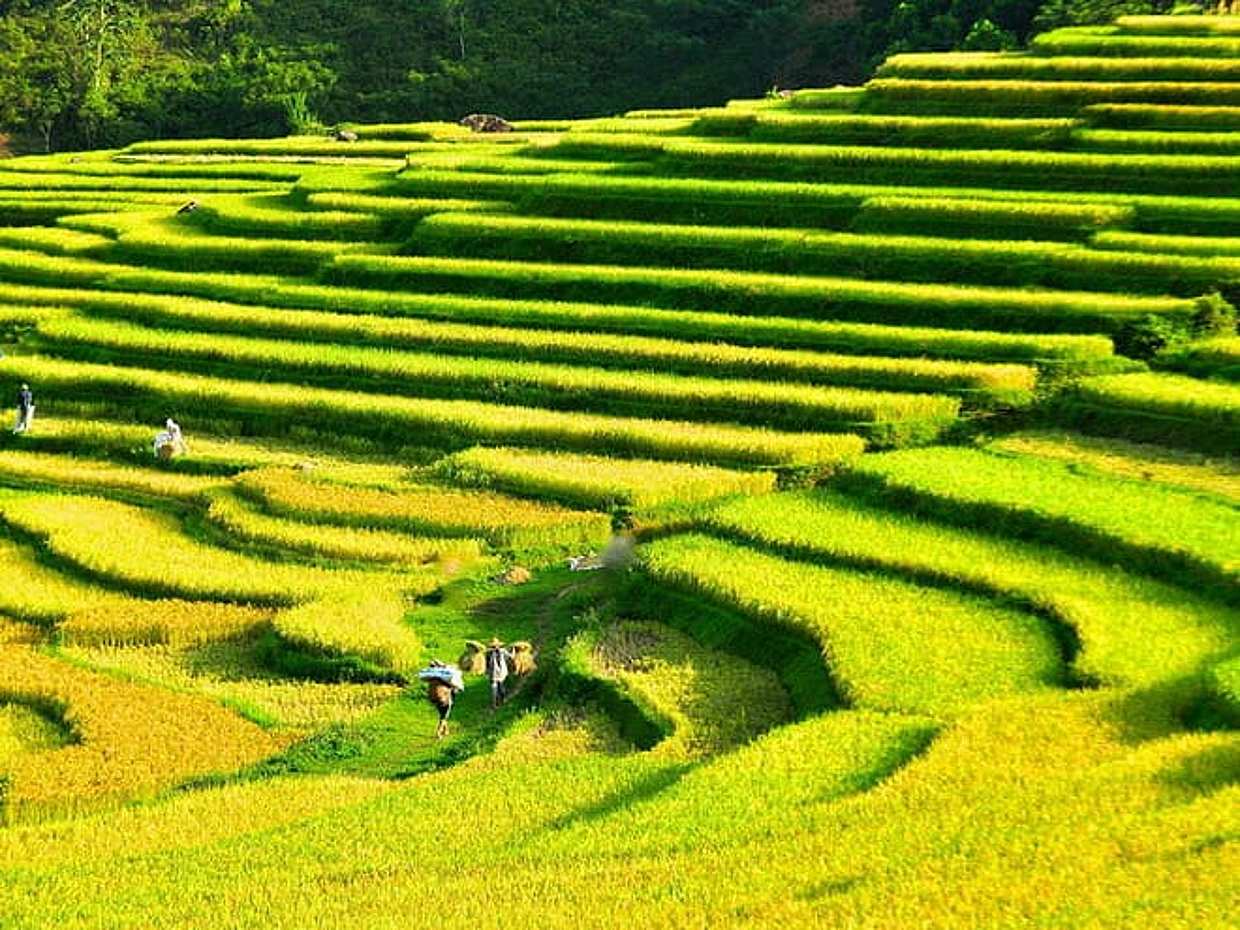 2 Days 1 Night Pu Luong Classic Tour, photo 4