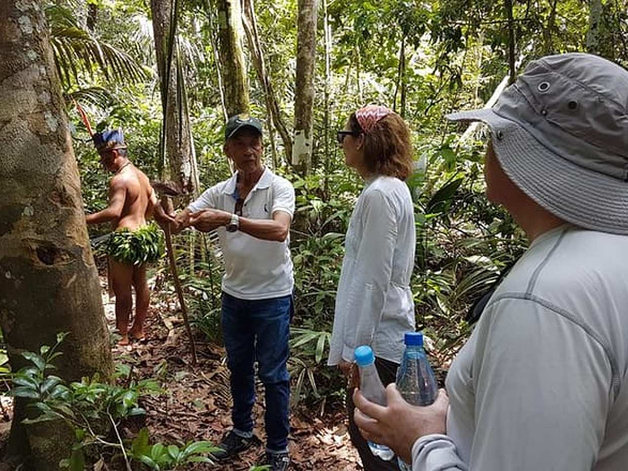 Amazon Forest Tour 4-Hour Trekking