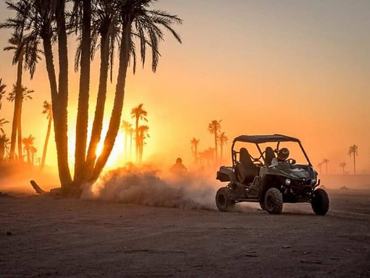 Buggy Tour in Marrakech Palm Grove, photo 5