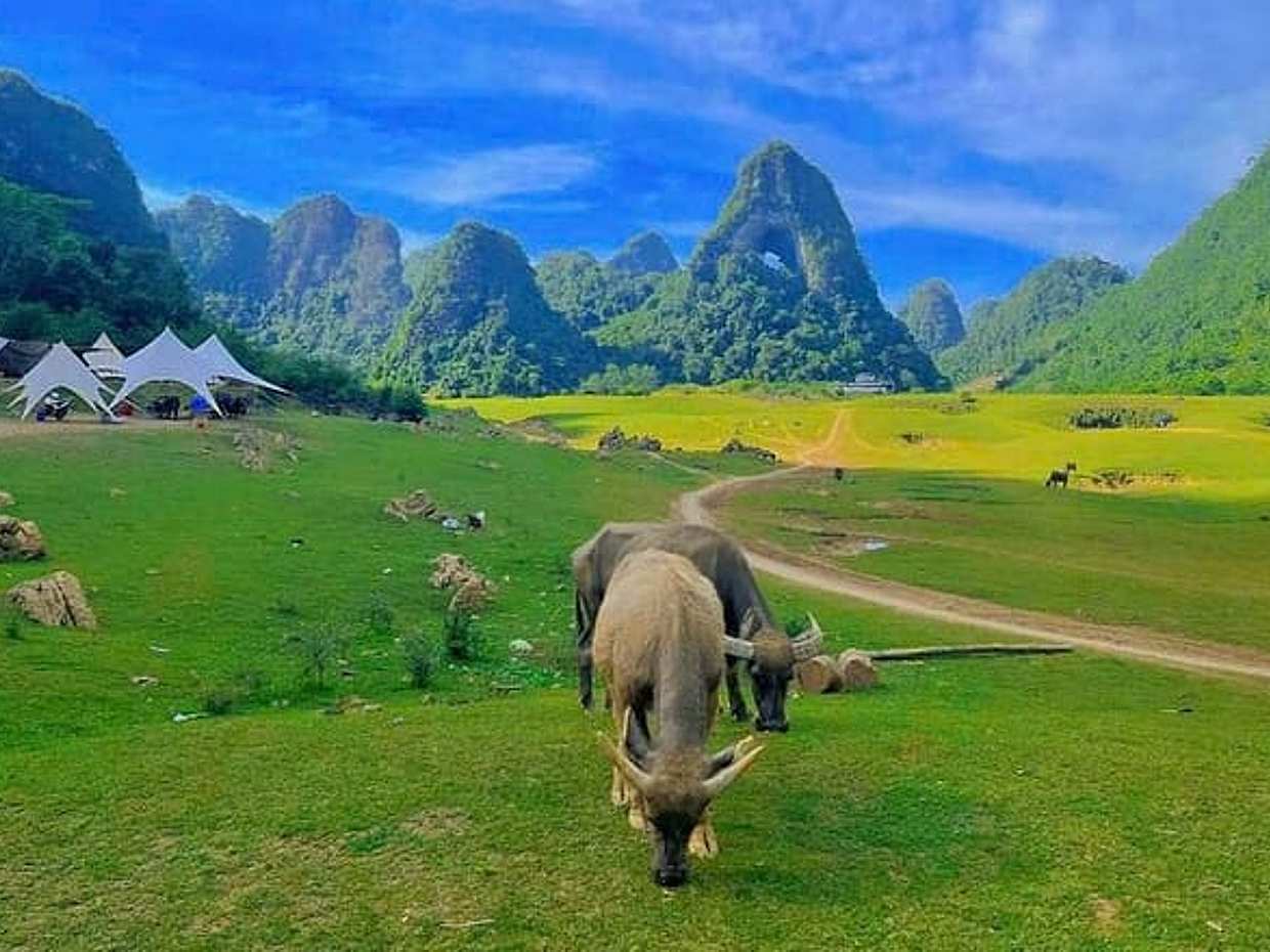 Cultural and Scenic Treasures of Cao Bằng: 3 Day Expedition, photo 4