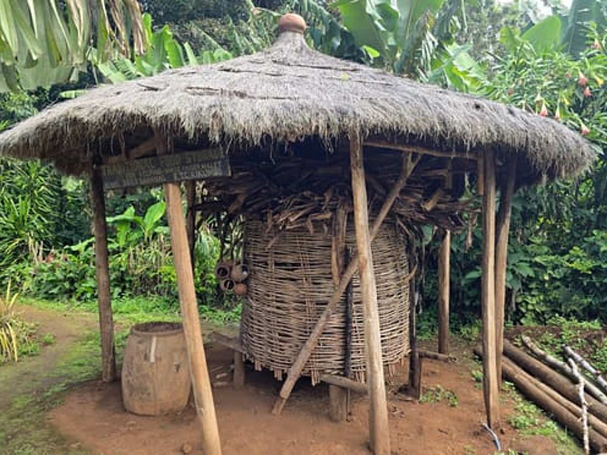 Kilimanjaro: Marangu Day Trip | Waterfalls | Coffee Tour & Chagga Culture, Tanzania, photo 4