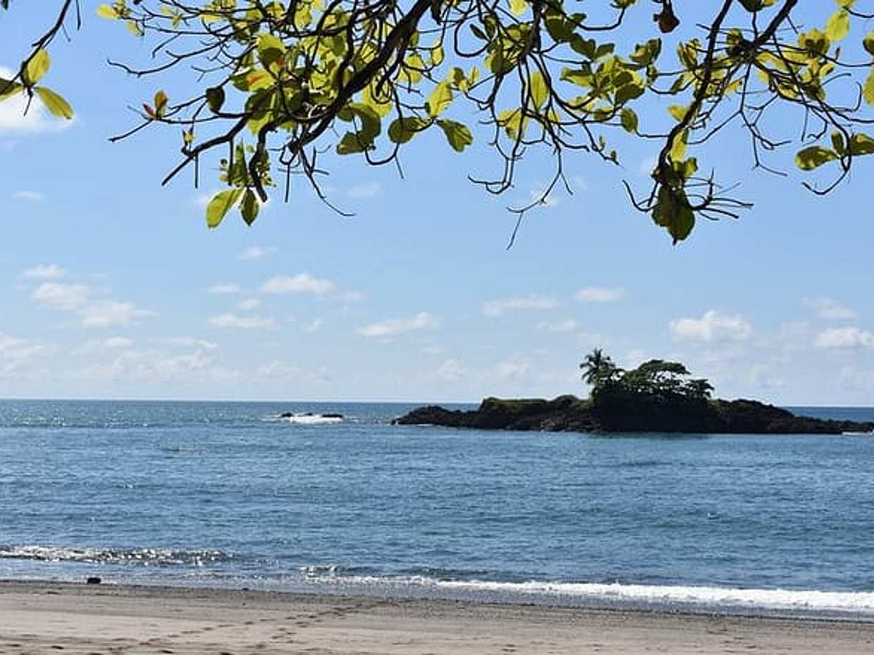 Private Transfer From Cahuita to San Jose, 2 Sightseeing Stops, Costa Rica, photo 4