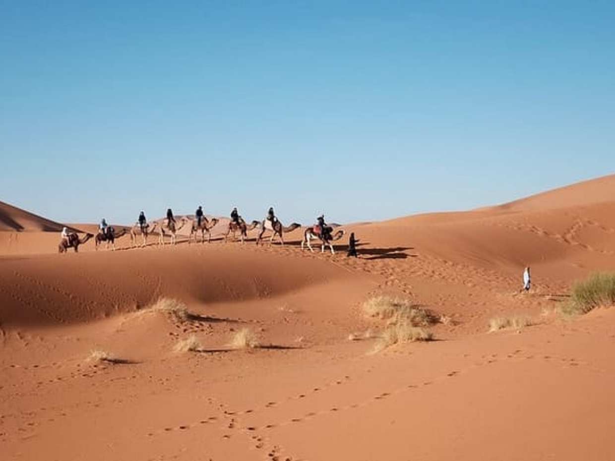 Privéwoestijntour van Marrakech naar Fes in Marokko, Marrakesh