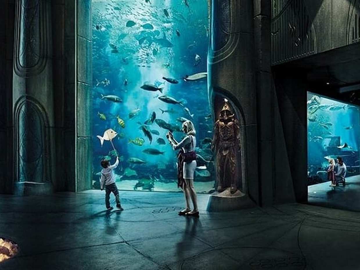 Admission to Lost Chamber Aquarium in United Arab Emirates, Sharjah, photo 3