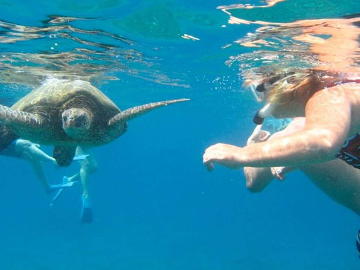 Pattaya: Coral Island Day Trip by Speed Boat with Snorkeling and Lunch in Thailand, Pattaya City, photo 5