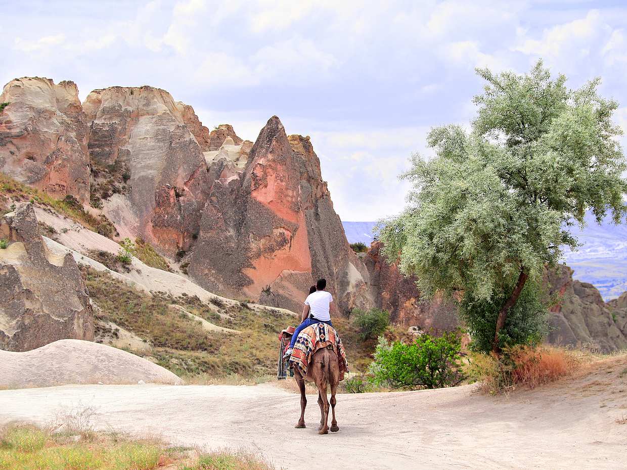 Fun Camel Tour at Any Time in Turkey, Cappadocia, photo 3