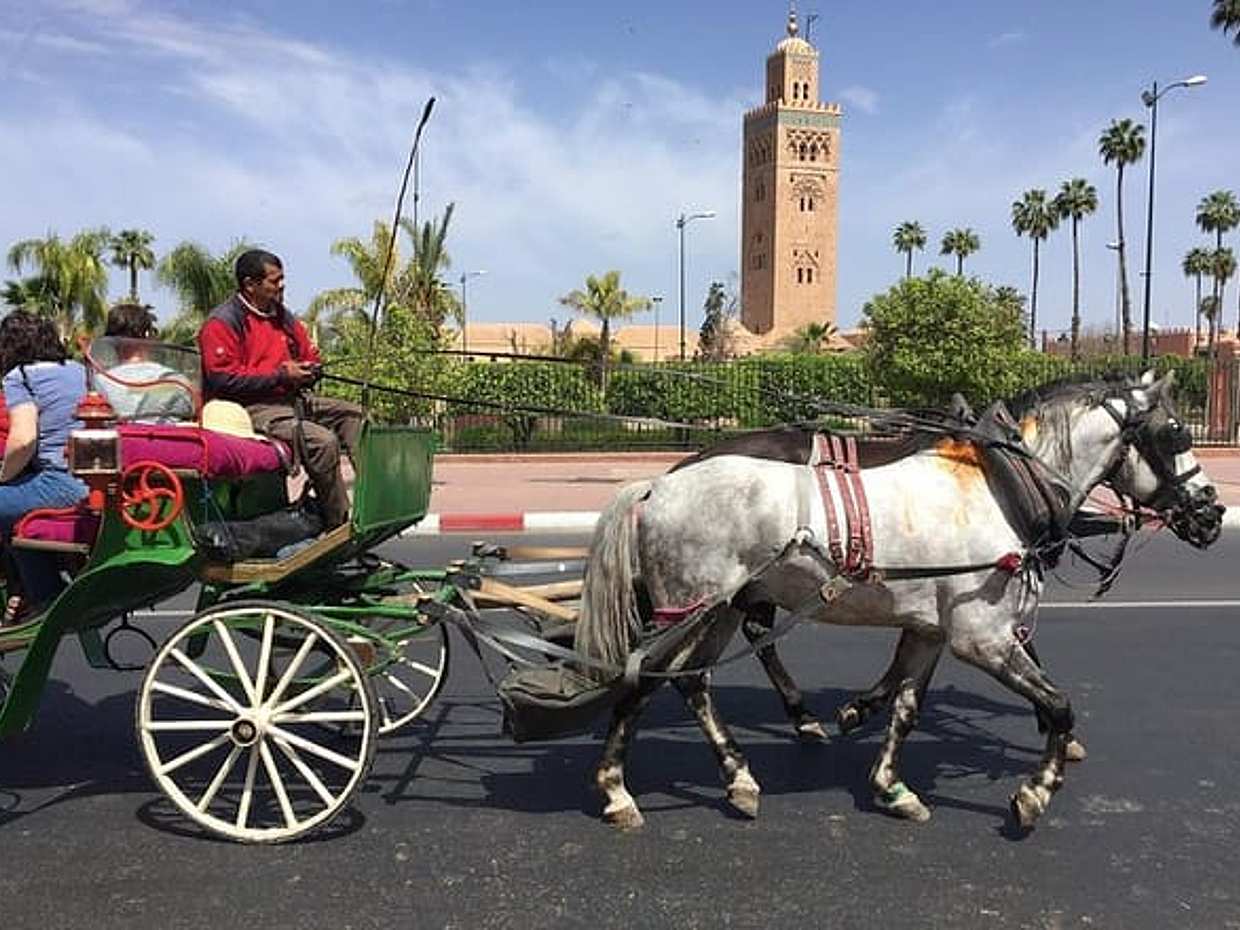Horse Carriage Ride in Marrakech, photo 4