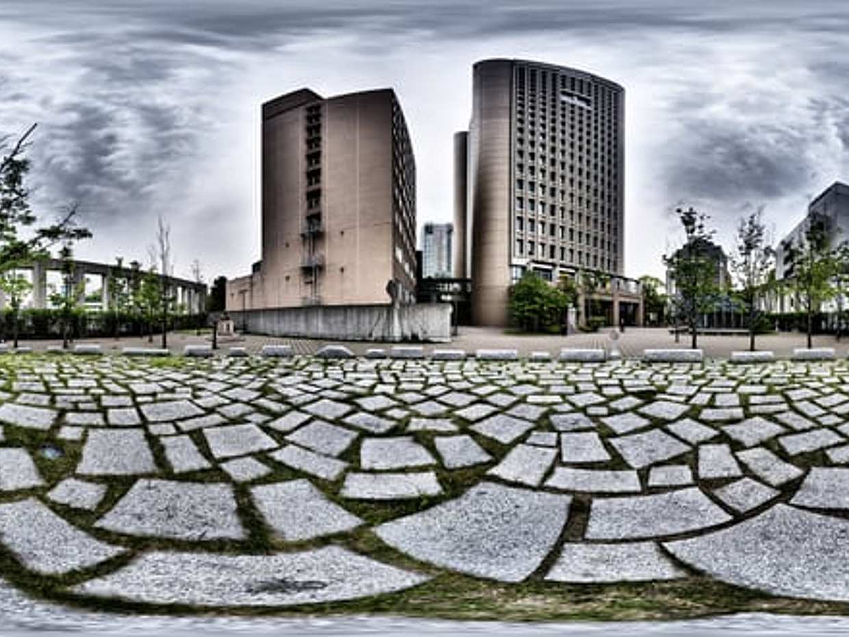Tokyo Intelligence, Japan