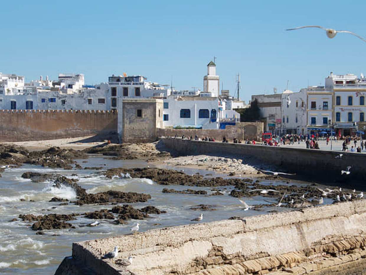 Surf Experience in Essaouira