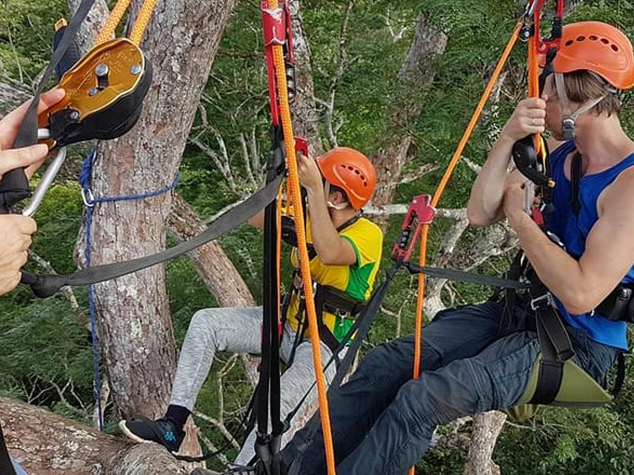 Tree Climbing in the Amazon in Brazil, Manaus, photo 5