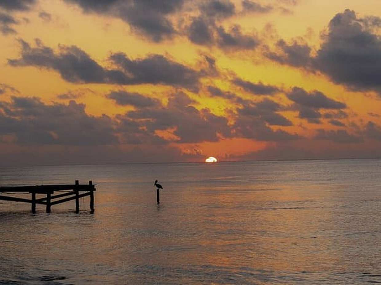 Private Transfer From Chiquila to Playa del Carmen, English Speaking Driver, photo 5