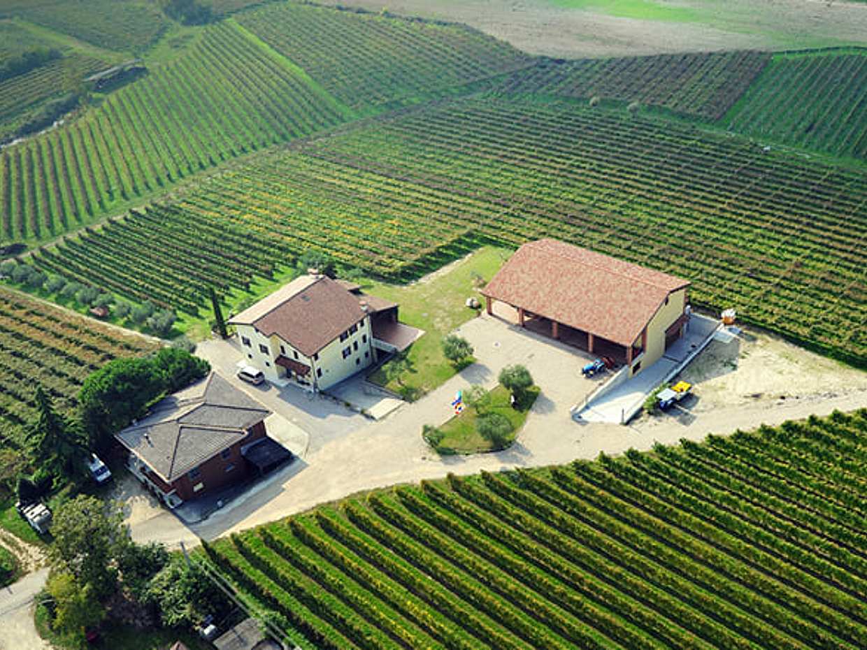 Lake Garda: Authentic Winery Tour with Local Producers, photo 5