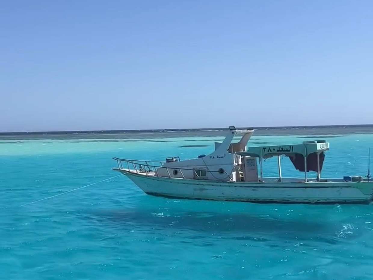 Wadi El Gemal - tour en barco en Egipto, Marsa Alam, photo 2