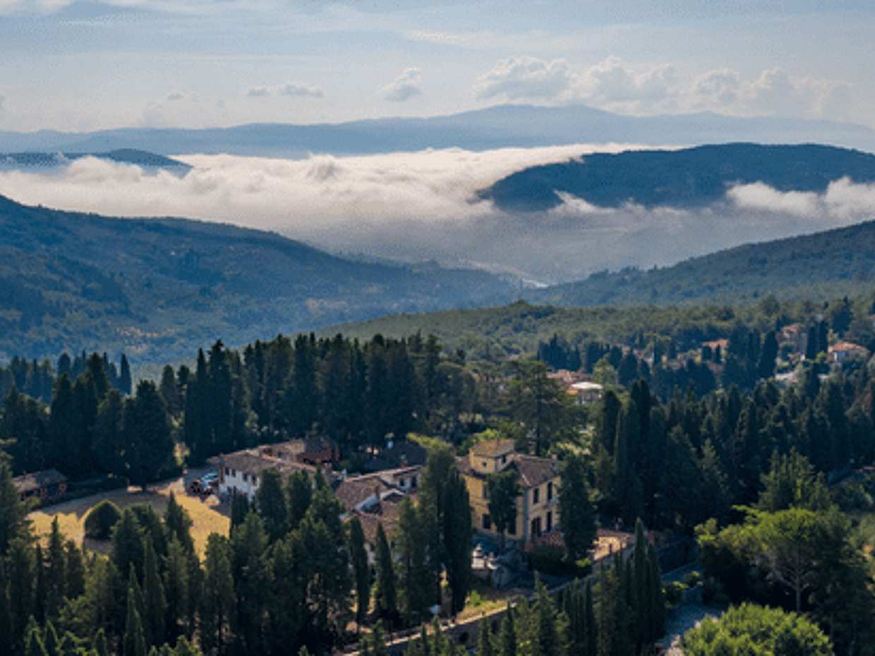Fiesole: Olio Evo Silver Experience at Frantoio Buonamici, photo 2