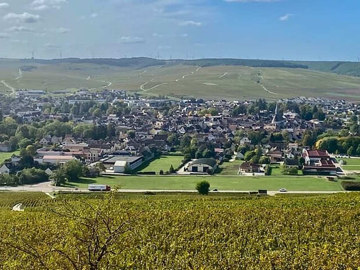 Private Burgundy 3 Domaines Chateau Pommard Chablis 15 Wines Trip, photo 4