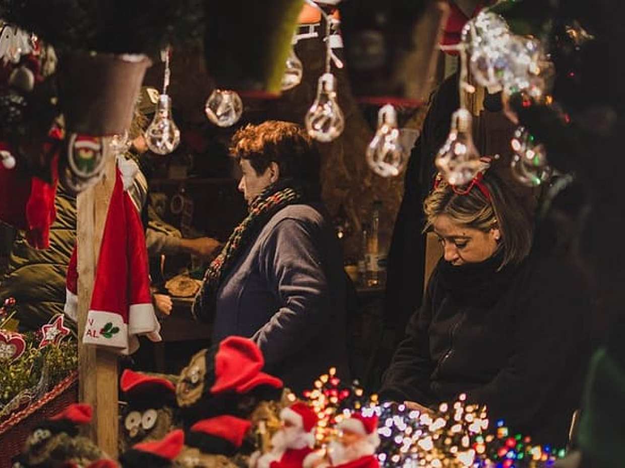 Christmas Private Daytrip - Vienna to Budapest & back, English Speaking Driver, photo 5