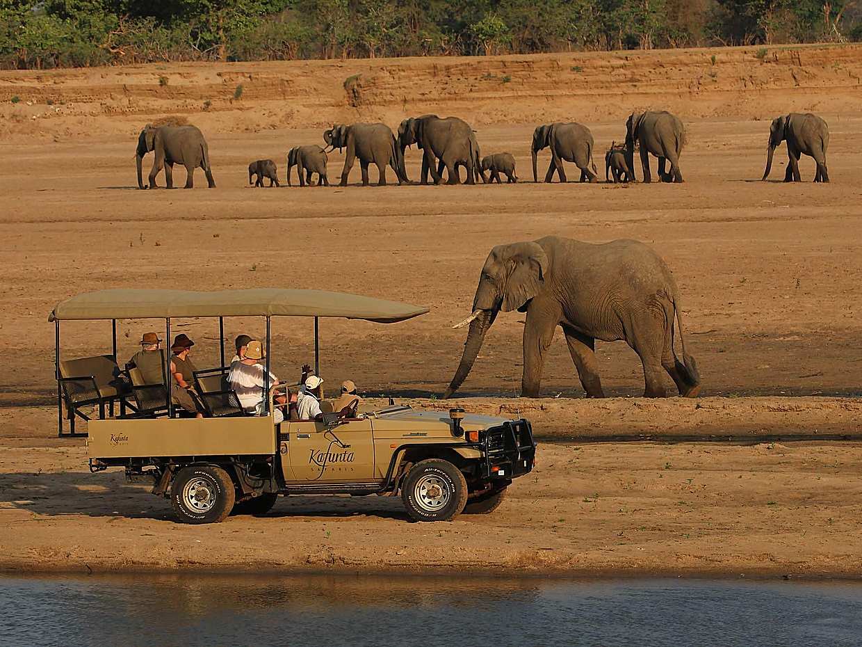 South Luangwa Morning Safari in Kakumbi, Zambia, photo 3