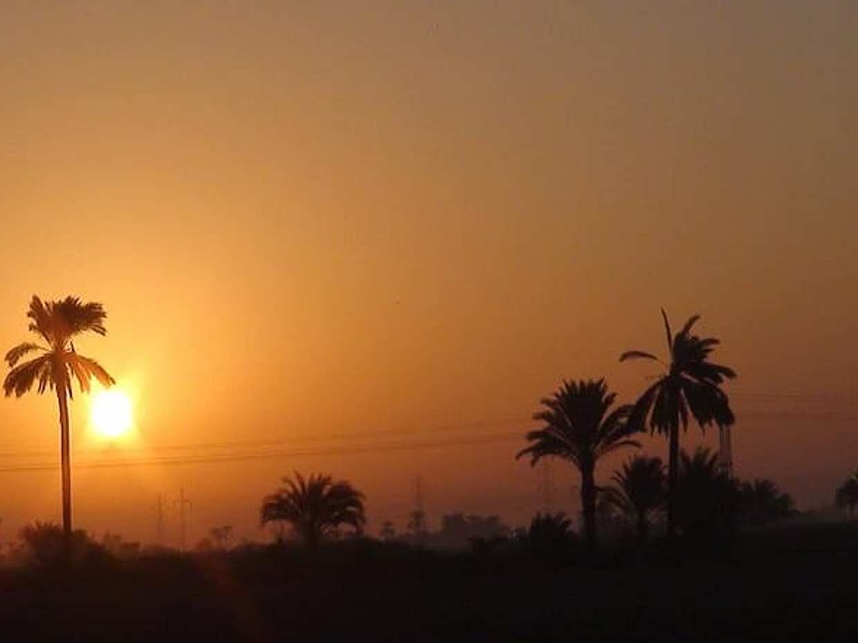 Dream of the nile, photo 4