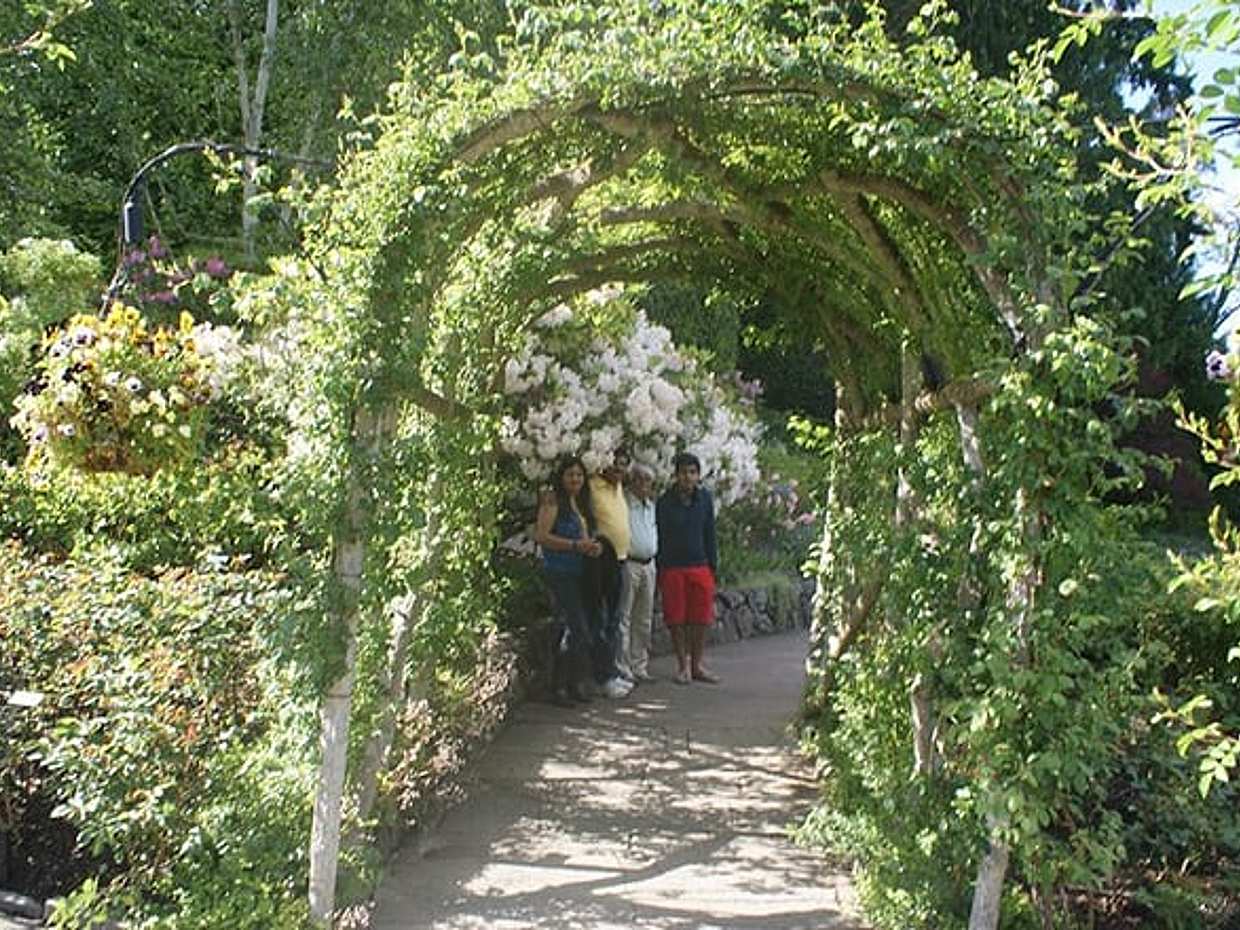 3-Day Vancouver City Tour Package With Whistler and Victoria Optional Private, photo 4
