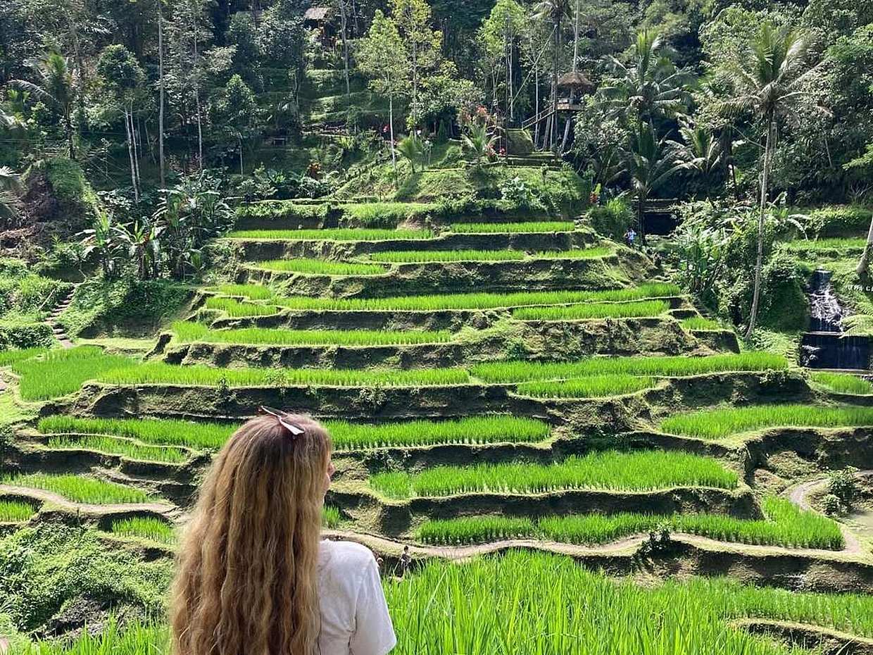 Bali: Sekumpul Waterfalls, Rice Terraces, and Fuji Waterfall in Indonesia, photo 4