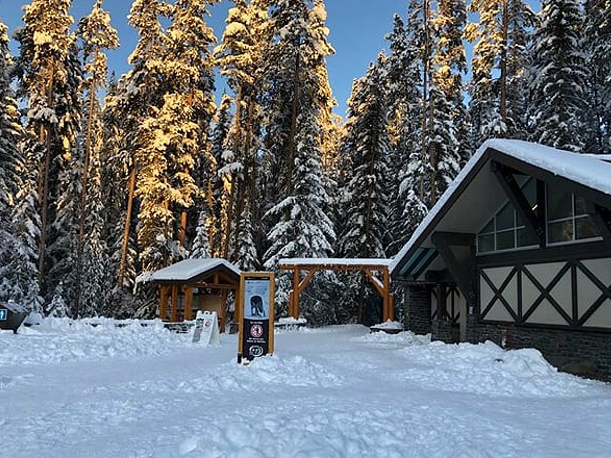 Vancouver to Banff 4 Days Rockies Lake Louise Snow adventure Tour Private, photo 4