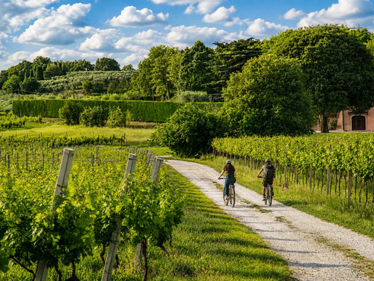 E-Bike Tour and Wine Tasting from Bardolino
