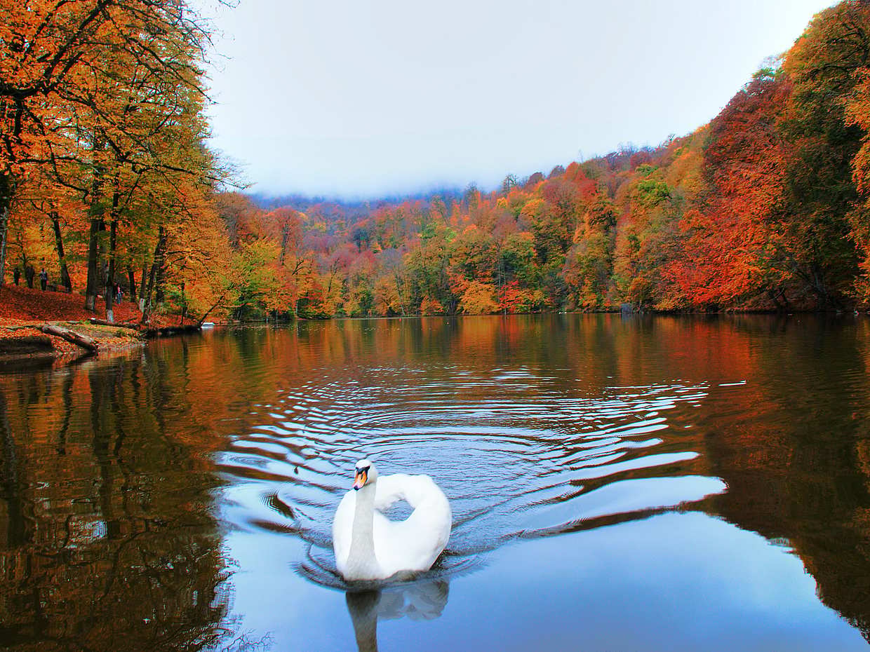 Tour Privado en Dilijan en Armenia, Parque Nacional Dilijan
, photo 2