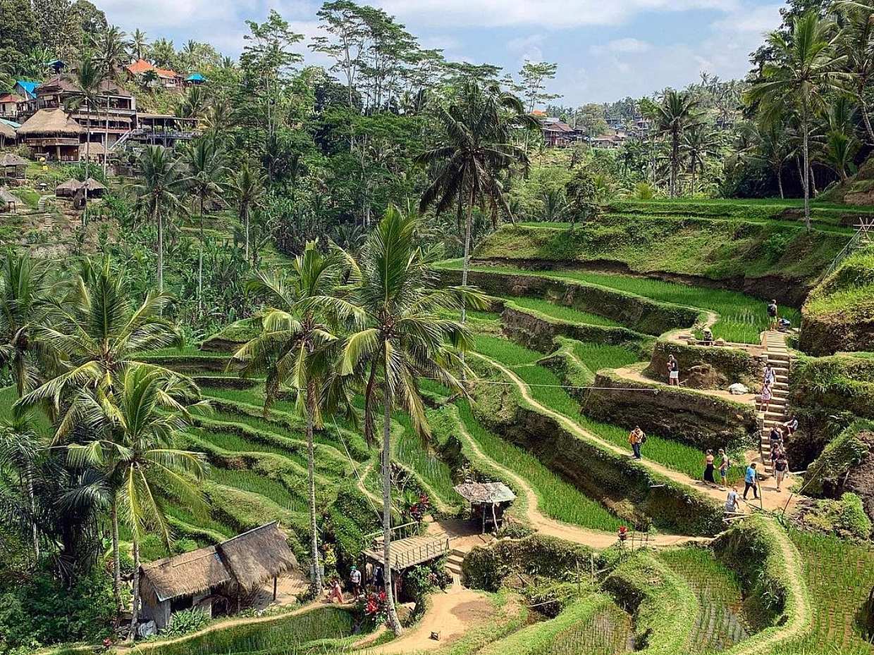 Experience Ubud: From Traditional Crafts & Monkey Forest to Ancient Temples & Jungle Waterfalls in Indonesia, Bali