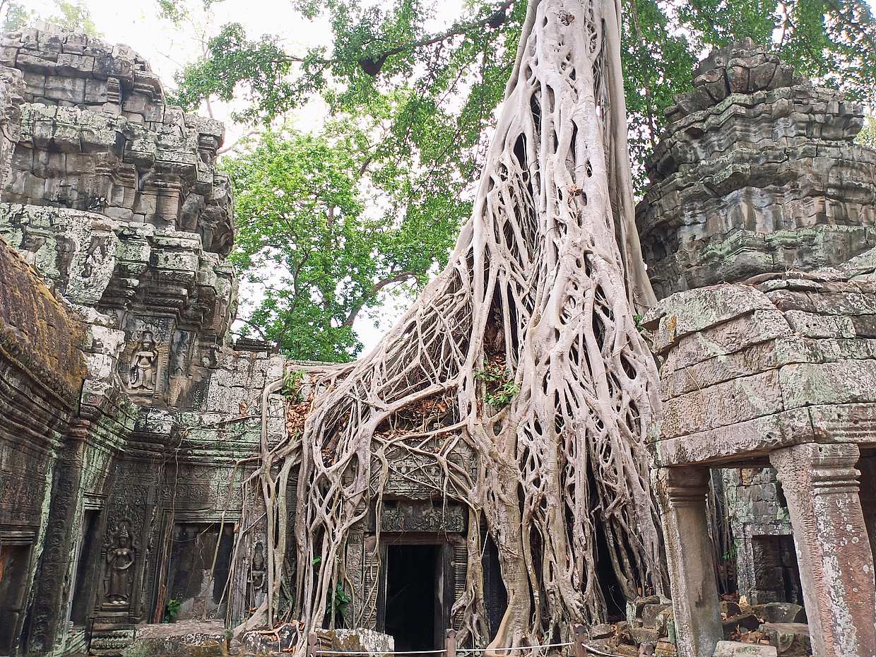 Private One Day Trip-The Best Experience in Siem Reap in Cambodia, Krong Siem Reap, photo 2